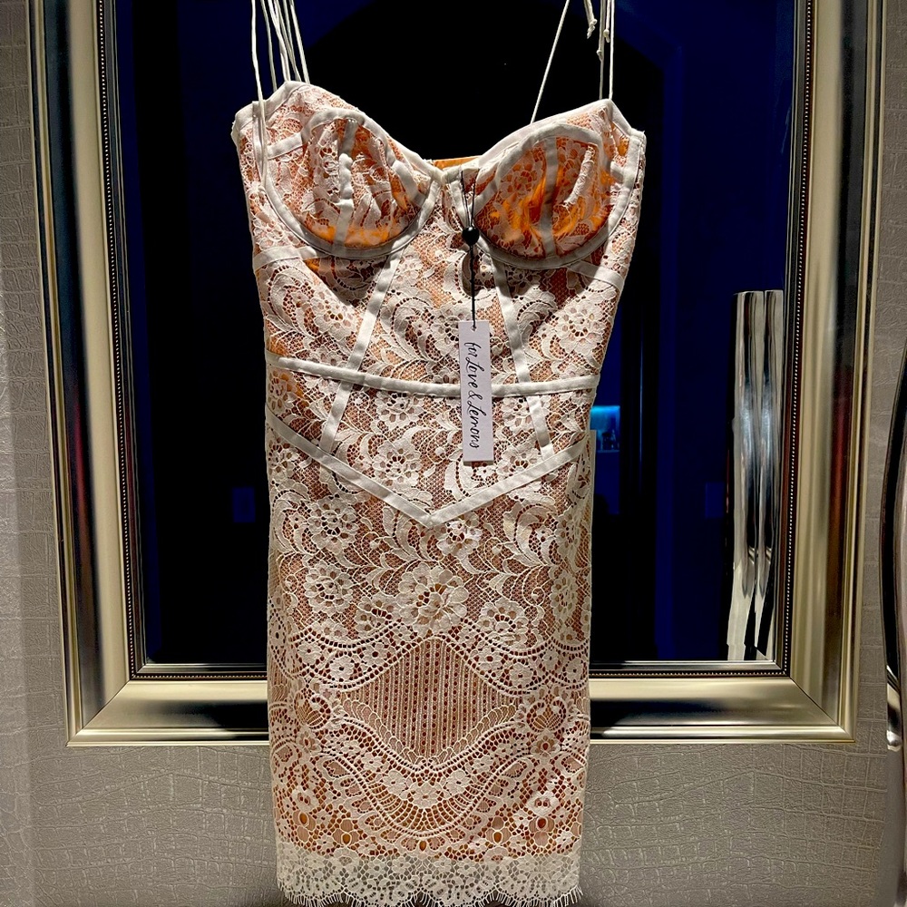 For love and lemons mini dress